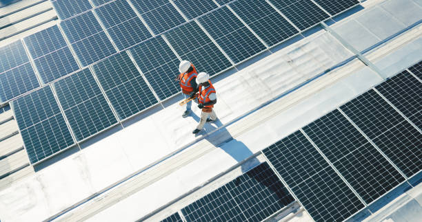 Best Roof Moss and Algae Removal  in Mcnair, VA